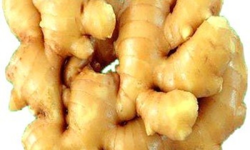 水鱼煲鸡作用与功效-水鱼煲鸡有什么功效网-分享水鱼煲鸡放什么材料最好，水鱼煲鸡有什么功效和作用知识库